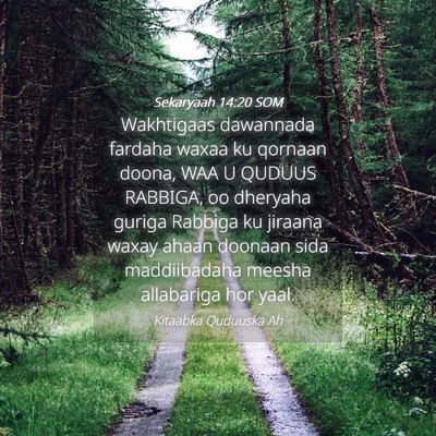 Picture 04 - Sekaryaah 14:20 SOM - Wakhtigaas dawannada fardaha waxaa ku qornaan - Bible Verse Picture