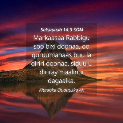 Picture 04 - Sekaryaah 14:3 SOM - Markaasaa Rabbigu soo bixi doonaa, oo quruumahaas - Bible Verse Picture