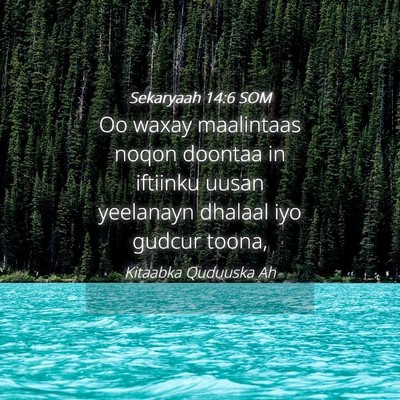 Picture 04 - Sekaryaah 14:6 SOM - Oo waxay maalintaas noqon doontaa in iftiinku - Bible Verse Picture