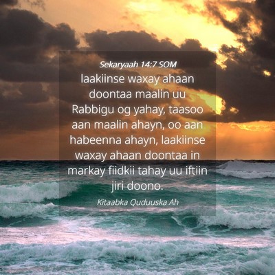Picture 04 - Sekaryaah 14:7 SOM - laakiinse waxay ahaan doontaa maalin uu Rabbigu - Bible Verse Picture