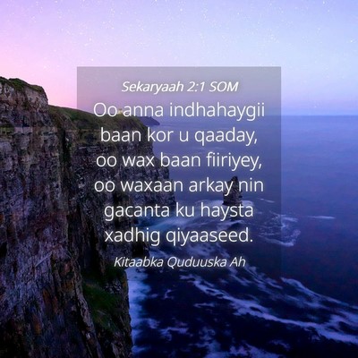 Picture 04 - Sekaryaah 2:1 SOM - Oo anna indhahaygii baan kor u qaaday, oo wax - Bible Verse Picture