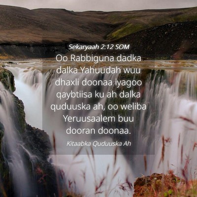 Picture 04 - Sekaryaah 2:12 SOM - Oo Rabbiguna dadka dalka Yahuudah wuu dhaxli - Bible Verse Picture