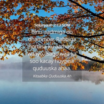 Picture 04 - Sekaryaah 2:13 SOM - Binu-aadmiga oo dhammow, Rabbiga hortiisa ku - Bible Verse Picture