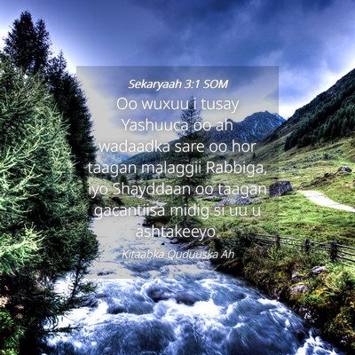 Picture 04 - Sekaryaah 3:1 SOM - Oo wuxuu i tusay Yashuuca oo ah wadaadka sare oo - Bible Verse Picture