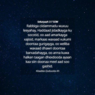 Picture 04 - Sekaryaah 3:7 SOM - Rabbiga ciidammadu wuxuu leeyahay, Haddaad - Bible Verse Picture