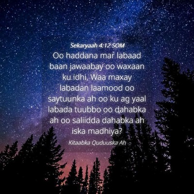 Picture 04 - Sekaryaah 4:12 SOM - Oo haddana mar labaad baan jawaabay oo waxaan ku - Bible Verse Picture