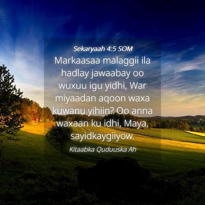Picture 04 - Sekaryaah 4:5 SOM - Markaasaa malaggii ila hadlay jawaabay oo wuxuu - Bible Verse Picture