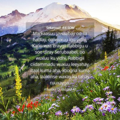 Picture 04 - Sekaryaah 4:6 SOM - Markaasuu jawaabay oo ila hadlay, oo wuxuu igu - Bible Verse Picture