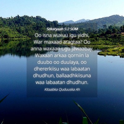 Picture 04 - Sekaryaah 5:2 SOM - Oo isna wuxuu igu yidhi, War maxaad aragtaa? Oo - Bible Verse Picture