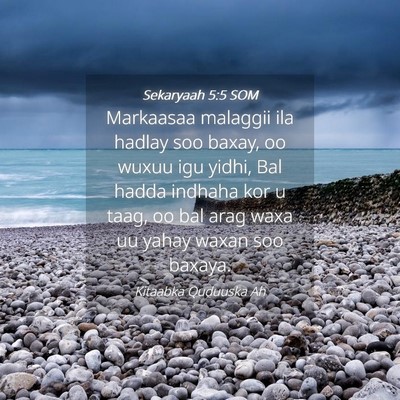 Picture 04 - Sekaryaah 5:5 SOM - Markaasaa malaggii ila hadlay soo baxay, oo wuxuu - Bible Verse Picture