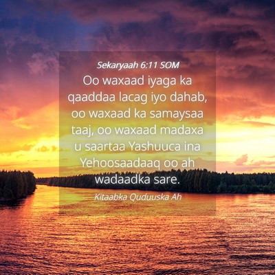 Picture 04 - Sekaryaah 6:11 SOM - Oo waxaad iyaga ka qaaddaa lacag iyo dahab, oo - Bible Verse Picture