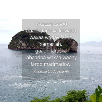 Picture 04 - Sekaryaah 6:2 SOM - Gaadhifaraska kowaad waxaa waday fardo xamar ah, - Bible Verse Picture