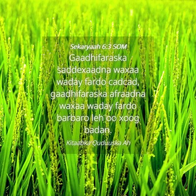 Picture 04 - Sekaryaah 6:3 SOM - Gaadhifaraska saddexaadna waxaa waday fardo - Bible Verse Picture