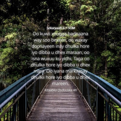 Picture 04 - Sekaryaah 6:7 SOM - Oo kuwii xoogga badnaana way soo bexeen, oo waxay - Bible Verse Picture