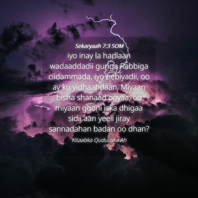 Picture 04 - Sekaryaah 7:3 SOM - iyo inay la hadlaan wadaaddadii guriga Rabbiga - Bible Verse Picture