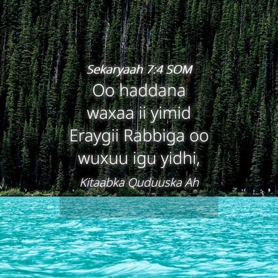 Picture 04 - Sekaryaah 7:4 SOM - Oo haddana waxaa ii yimid Eraygii Rabbiga oo - Bible Verse Picture