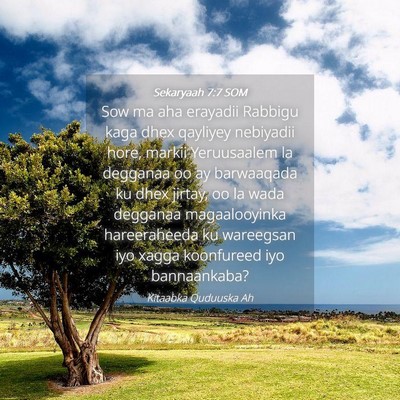 Picture 04 - Sekaryaah 7:7 SOM - Sow ma aha erayadii Rabbigu kaga dhex qayliyey - Bible Verse Picture