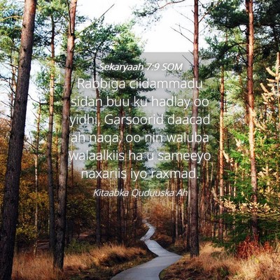 Picture 04 - Sekaryaah 7:9 SOM - Rabbiga ciidammadu sidan buu ku hadlay oo yidhi, - Bible Verse Picture