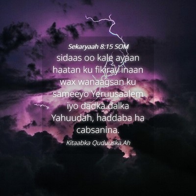Picture 04 - Sekaryaah 8:15 SOM - sidaas oo kale ayaan haatan ku fikiray inaan wax - Bible Verse Picture