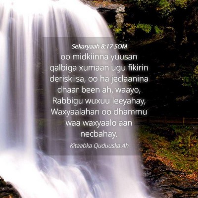 Picture 04 - Sekaryaah 8:17 SOM - oo midkiinna yuusan qalbiga xumaan ugu fikirin - Bible Verse Picture