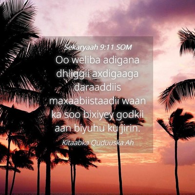 Picture 04 - Sekaryaah 9:11 SOM - Oo weliba adigana dhiiggii axdigaaga daraaddiis - Bible Verse Picture