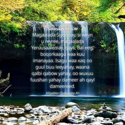 Picture 04 - Sekaryaah 9:9 SOM - Magaalada Siyoonay, si weyn u reyree, magaalada - Bible Verse Picture