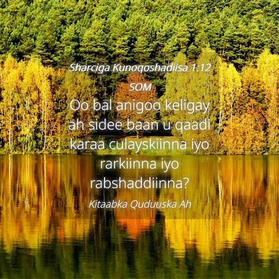Picture 04 - Sharciga Kunoqoshadiisa 1:12 SOM - Oo bal anigoo keligay ah sidee baan u qaadi karaa - Bible Verse Picture