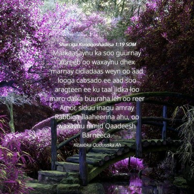 Picture 04 - Sharciga Kunoqoshadiisa 1:19 SOM - Markaasaynu ka soo guurnay Xoreeb oo waxaynu dhex - Bible Verse Picture