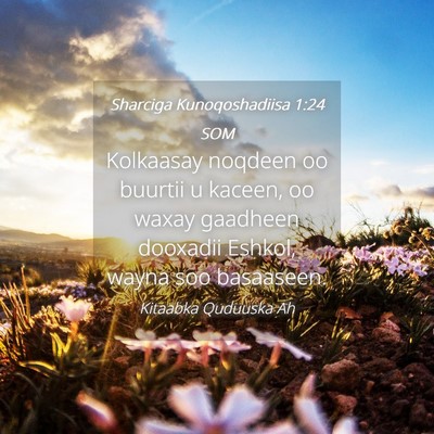 Picture 04 - Sharciga Kunoqoshadiisa 1:24 SOM - Kolkaasay noqdeen oo buurtii u kaceen, oo waxay - Bible Verse Picture