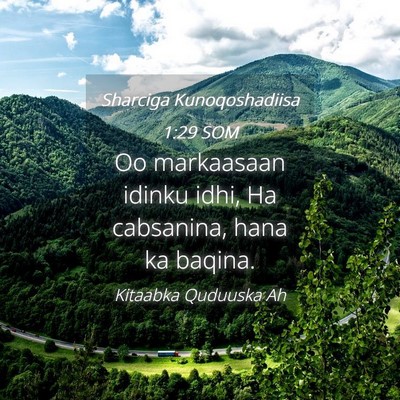Picture 04 - Sharciga Kunoqoshadiisa 1:29 SOM - Oo markaasaan idinku idhi, Ha cabsanina, hana ka - Bible Verse Picture