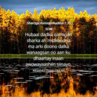 Picture 04 - Sharciga Kunoqoshadiisa 1:35 SOM - Hubaal dadka qarnigan sharka ah midkoodna ma arki - Bible Verse Picture