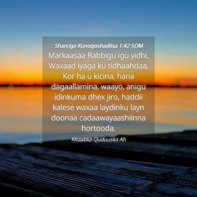 Picture 04 - Sharciga Kunoqoshadiisa 1:42 SOM - Markaasaa Rabbigu igu yidhi, Waxaad iyaga ku - Bible Verse Picture