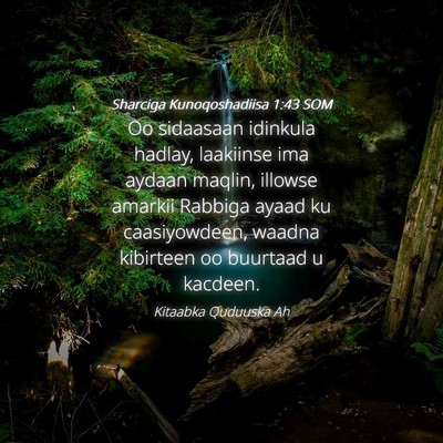 Picture 04 - Sharciga Kunoqoshadiisa 1:43 SOM - Oo sidaasaan idinkula hadlay, laakiinse ima - Bible Verse Picture