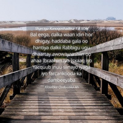 Picture 04 - Sharciga Kunoqoshadiisa 1:8 SOM - Bal eega, dalka waan idin hor dhigay, haddaba - Bible Verse Picture