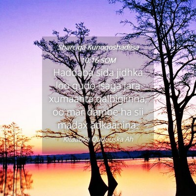 Picture 04 - Sharciga Kunoqoshadiisa 10:16 SOM - Haddaba sida jidhka loo gudo isaga jara xumaanta - Bible Verse Picture