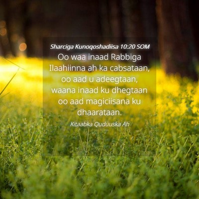 Picture 04 - Sharciga Kunoqoshadiisa 10:20 SOM - Oo waa inaad Rabbiga Ilaahiinna ah ka cabsataan, - Bible Verse Picture