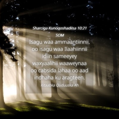 Picture 04 - Sharciga Kunoqoshadiisa 10:21 SOM - Isagu waa ammaantiinnii, oo isagu waa Ilaahiinnii - Bible Verse Picture