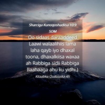 Picture 04 - Sharciga Kunoqoshadiisa 10:9 SOM - Oo sidaas daraaddeed Laawi walaalihiis lama laha - Bible Verse Picture