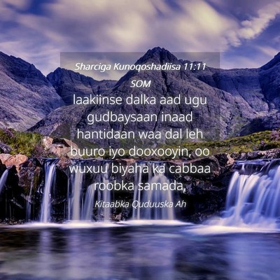 Picture 04 - Sharciga Kunoqoshadiisa 11:11 SOM - laakiinse dalka aad ugu gudbaysaan inaad - Bible Verse Picture