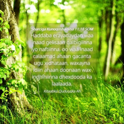Picture 04 - Sharciga Kunoqoshadiisa 11:18 SOM - Haddaba erayadaydan waa inaad gelisaan - Bible Verse Picture