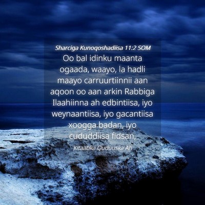 Picture 04 - Sharciga Kunoqoshadiisa 11:2 SOM - Oo bal idinku maanta ogaada, waayo, la hadli - Bible Verse Picture