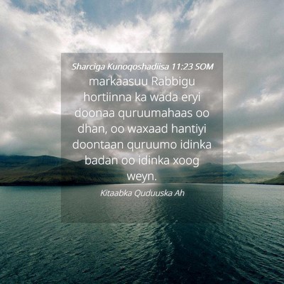Picture 04 - Sharciga Kunoqoshadiisa 11:23 SOM - markaasuu Rabbigu hortiinna ka wada eryi doonaa - Bible Verse Picture