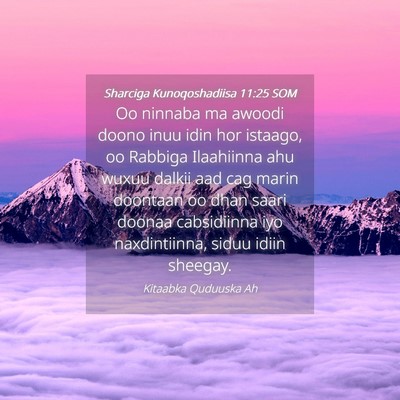 Picture 04 - Sharciga Kunoqoshadiisa 11:25 SOM - Oo ninnaba ma awoodi doono inuu idin hor istaago, - Bible Verse Picture