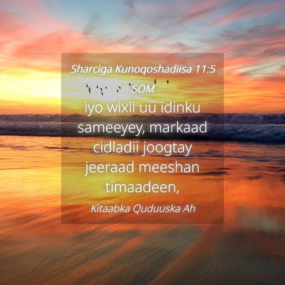 Picture 04 - Sharciga Kunoqoshadiisa 11:5 SOM - iyo wixii uu idinku sameeyey, markaad cidladii - Bible Verse Picture