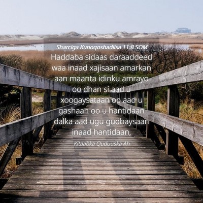 Picture 04 - Sharciga Kunoqoshadiisa 11:8 SOM - Haddaba sidaas daraaddeed waa inaad xajisaan - Bible Verse Picture