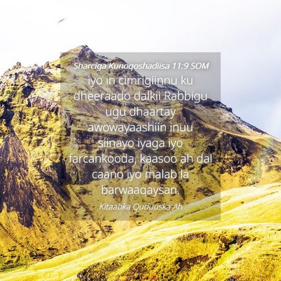 Picture 04 - Sharciga Kunoqoshadiisa 11:9 SOM - iyo in cimrigiinnu ku dheeraado dalkii Rabbigu - Bible Verse Picture