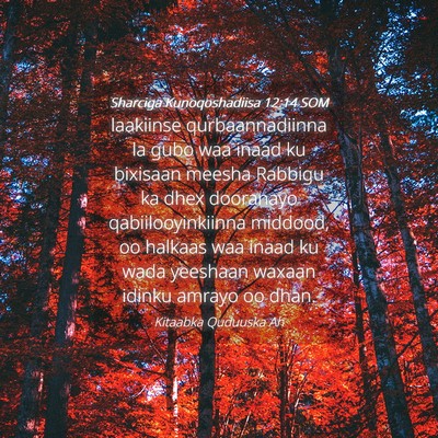 Picture 04 - Sharciga Kunoqoshadiisa 12:14 SOM - laakiinse qurbaannadiinna la gubo waa inaad ku - Bible Verse Picture