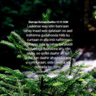 Picture 04 - Sharciga Kunoqoshadiisa 12:15 SOM - Laakiinse waa idiin bannaan tahay inaad wax - Bible Verse Picture