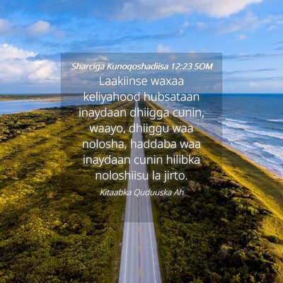 Picture 04 - Sharciga Kunoqoshadiisa 12:23 SOM - Laakiinse waxaa keliyahood hubsataan inaydaan - Bible Verse Picture
