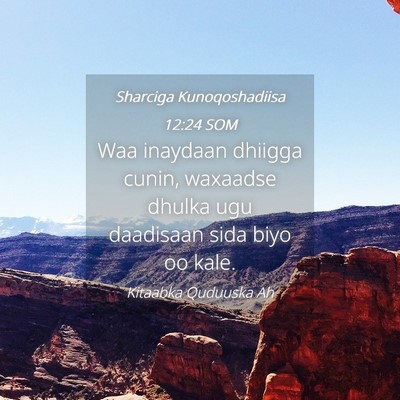 Picture 04 - Sharciga Kunoqoshadiisa 12:24 SOM - Waa inaydaan dhiigga cunin, waxaadse dhulka ugu - Bible Verse Picture